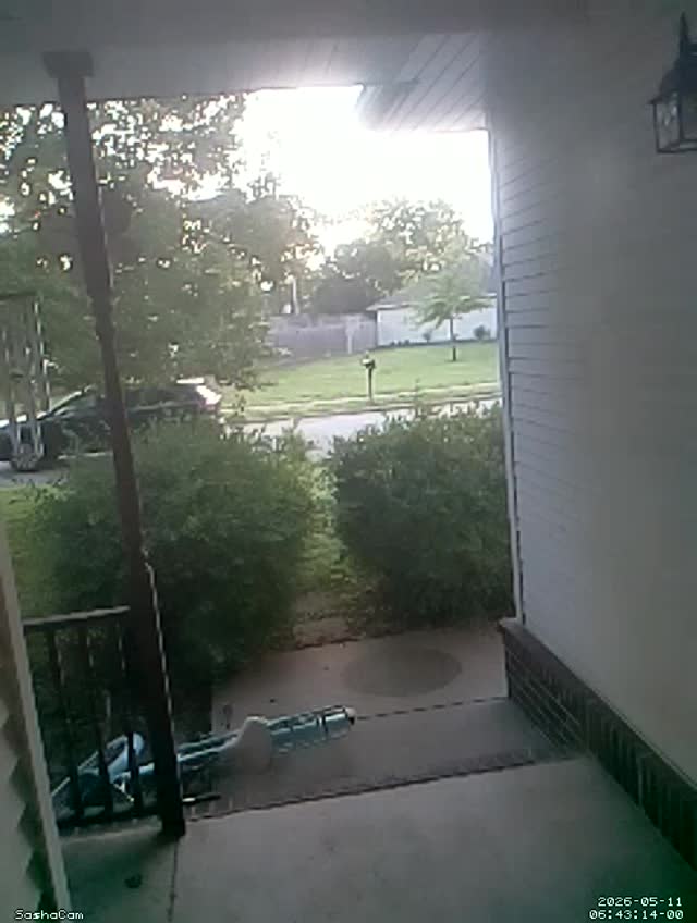 2026-05-11 06:43:13