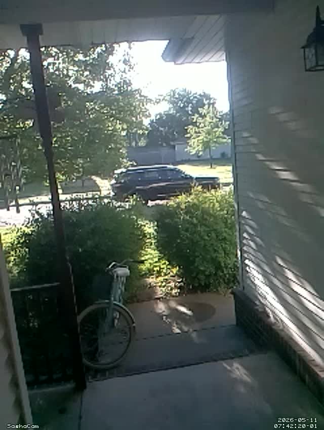 2026-05-11 07:42:19