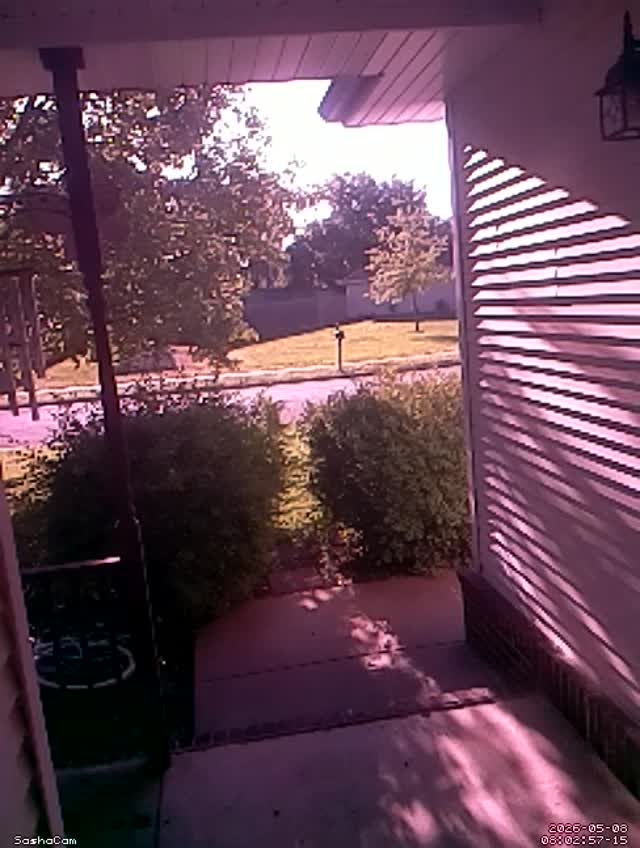 2026-05-08 08:02:56