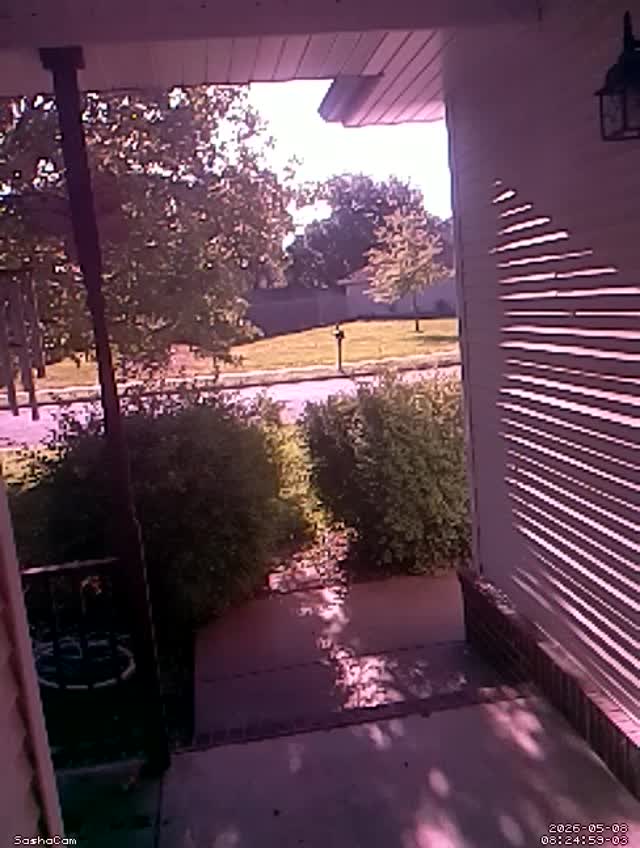 2026-05-08 08:24:58