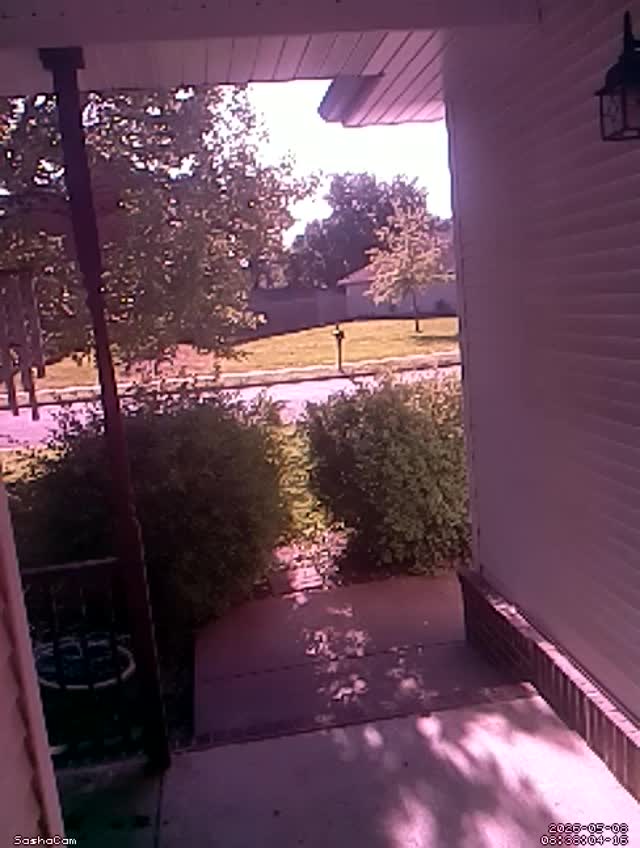 2026-05-08 08:38:03