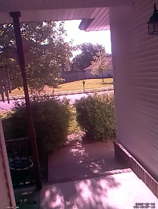 2026-05-08 08:46:36