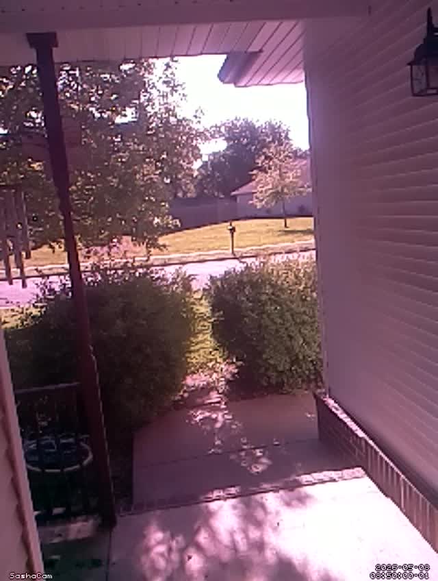 2026-05-08 08:49:59