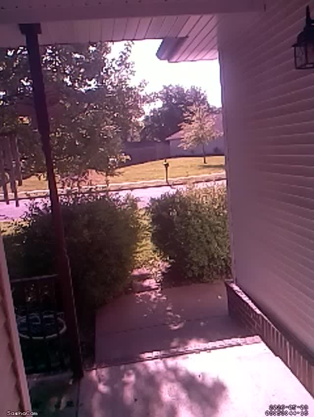 2026-05-08 08:53:43