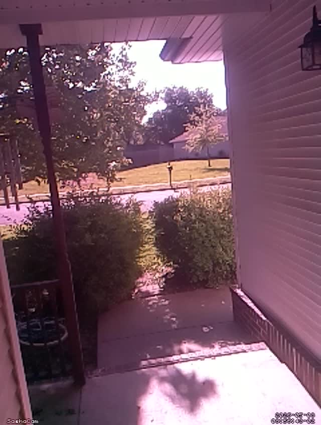 2026-05-08 08:56:42