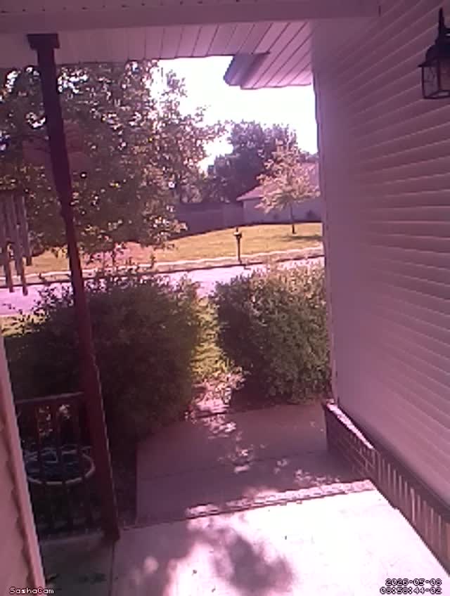 2026-05-08 08:58:43