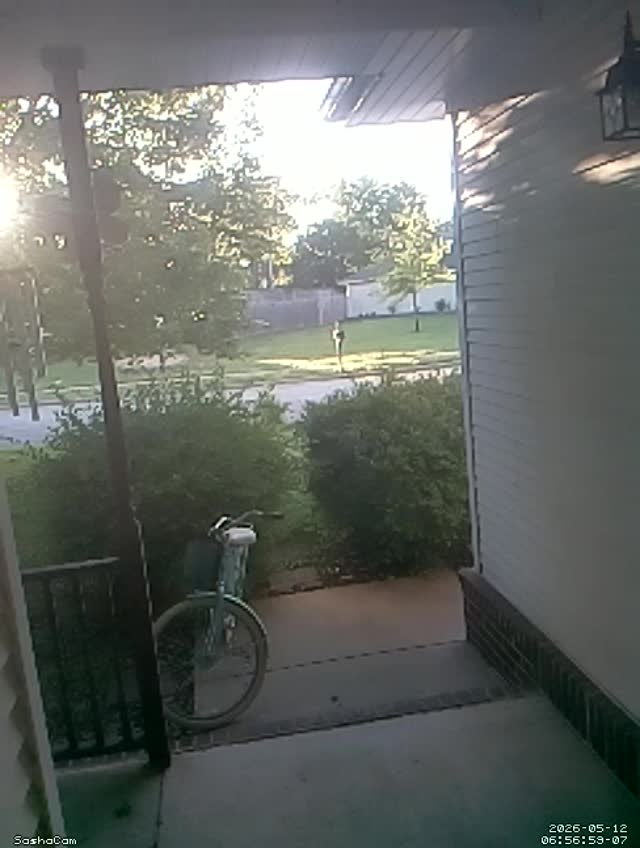 2026-05-12 06:56:58