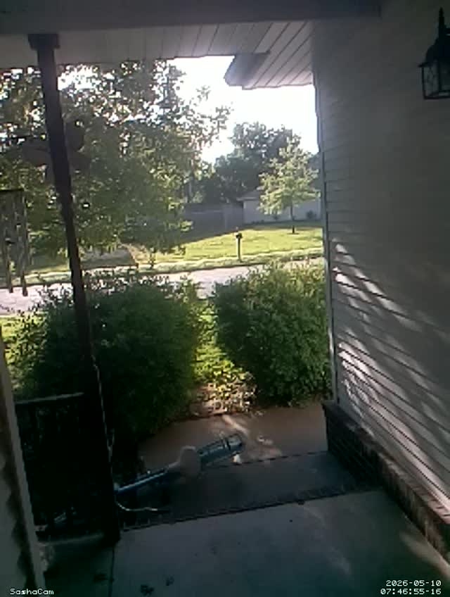 2026-05-10 07:46:54