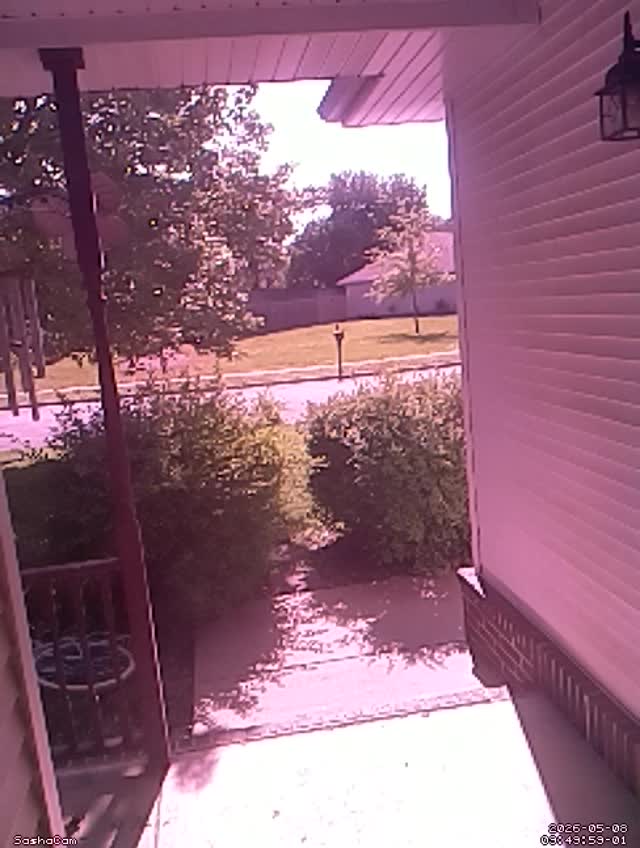 2026-05-08 09:49:58
