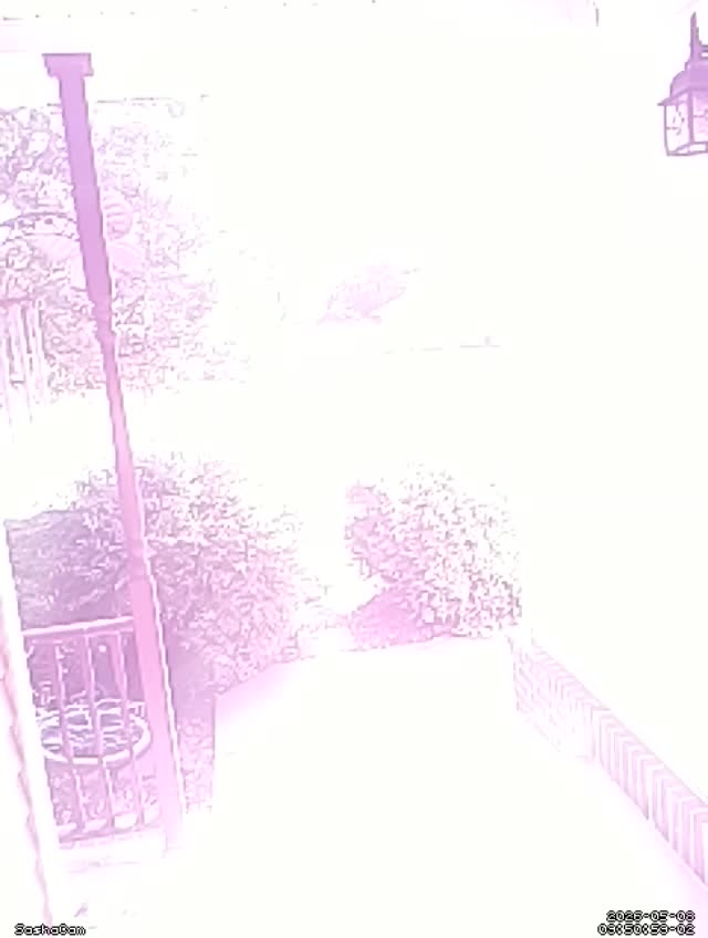 2026-05-08 09:50:58
