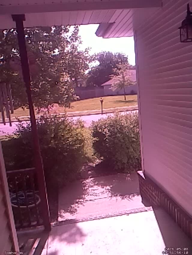 2026-05-08 09:51:55