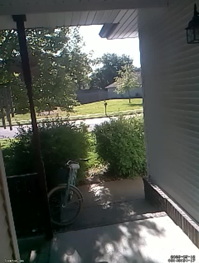 2026-05-12 08:43:53
