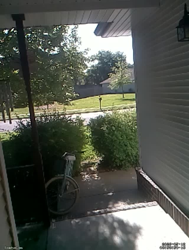 2026-05-12 08:53:49