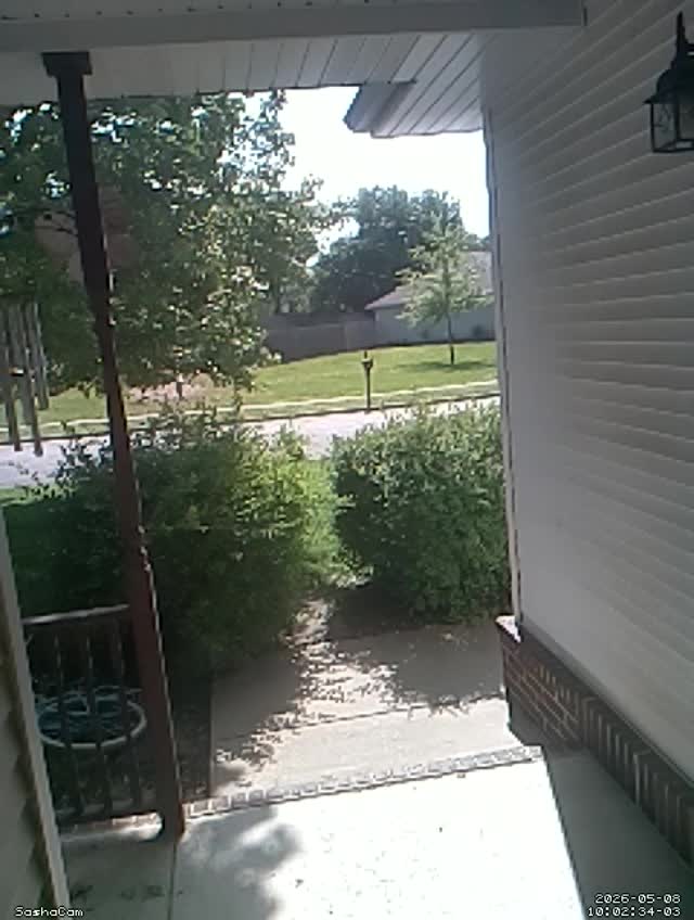 2026-05-08 10:02:33