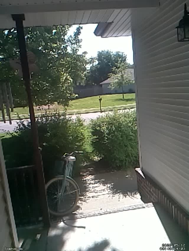 2026-05-12 09:43:13