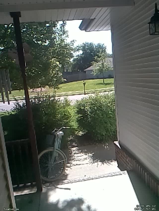 2026-05-12 09:52:56