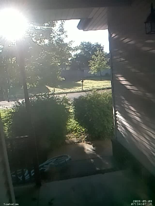 2026-05-09 07:34:06