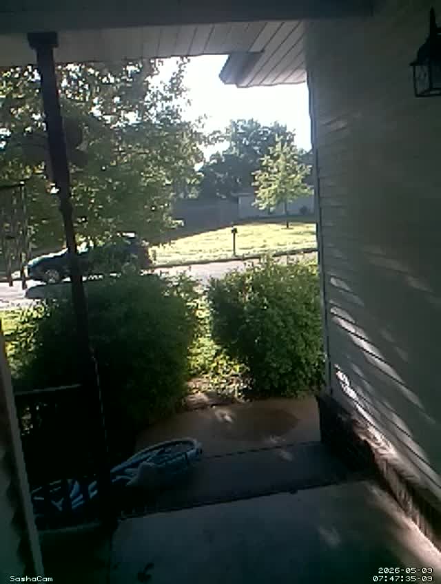 2026-05-09 07:47:34