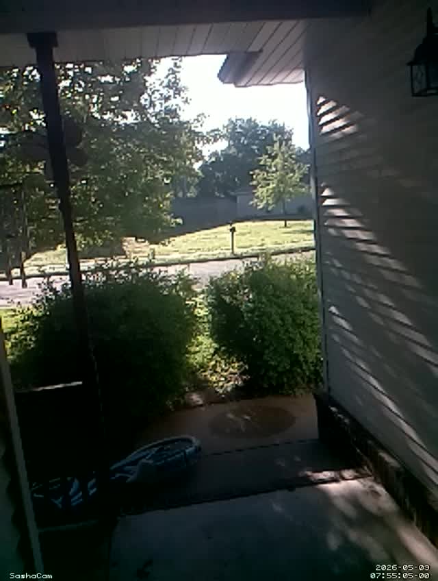 2026-05-09 07:55:04