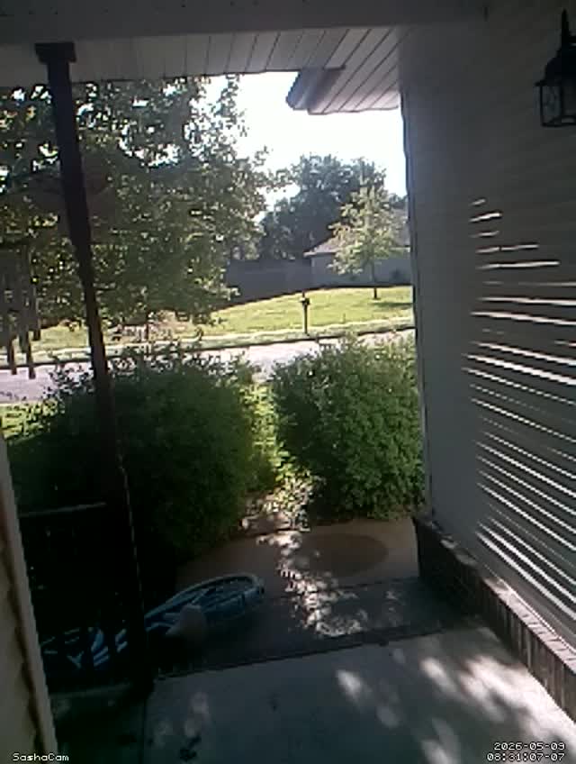 2026-05-09 08:31:06