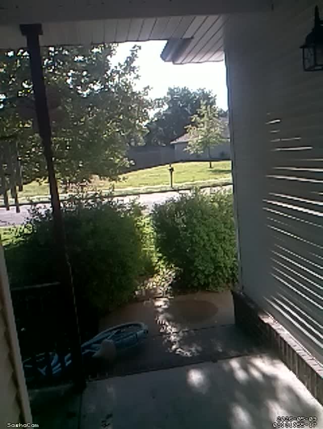 2026-05-09 08:31:54