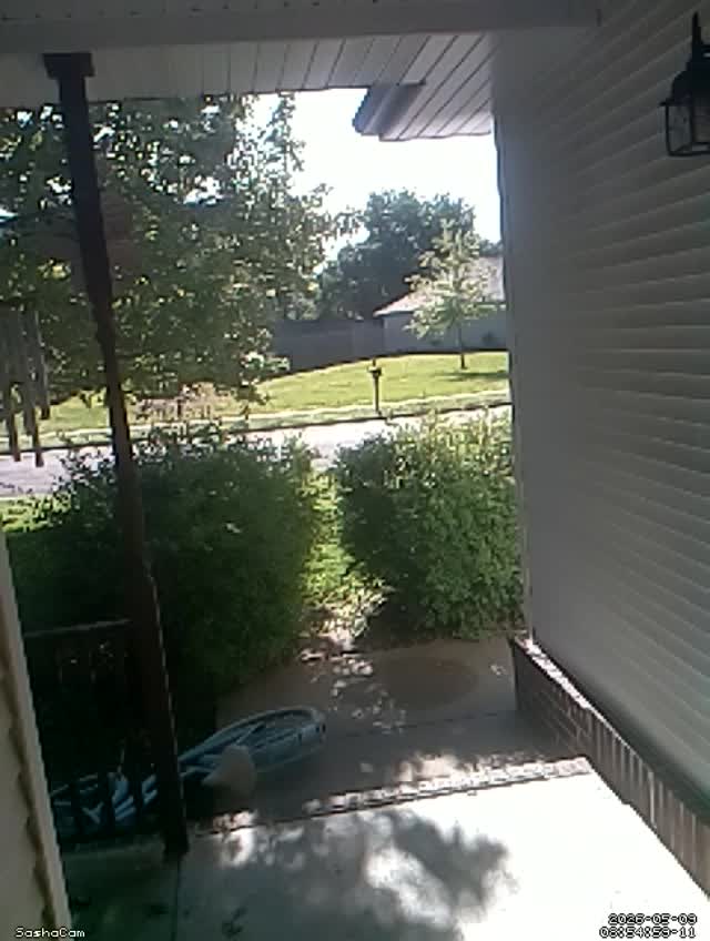 2026-05-09 08:54:58