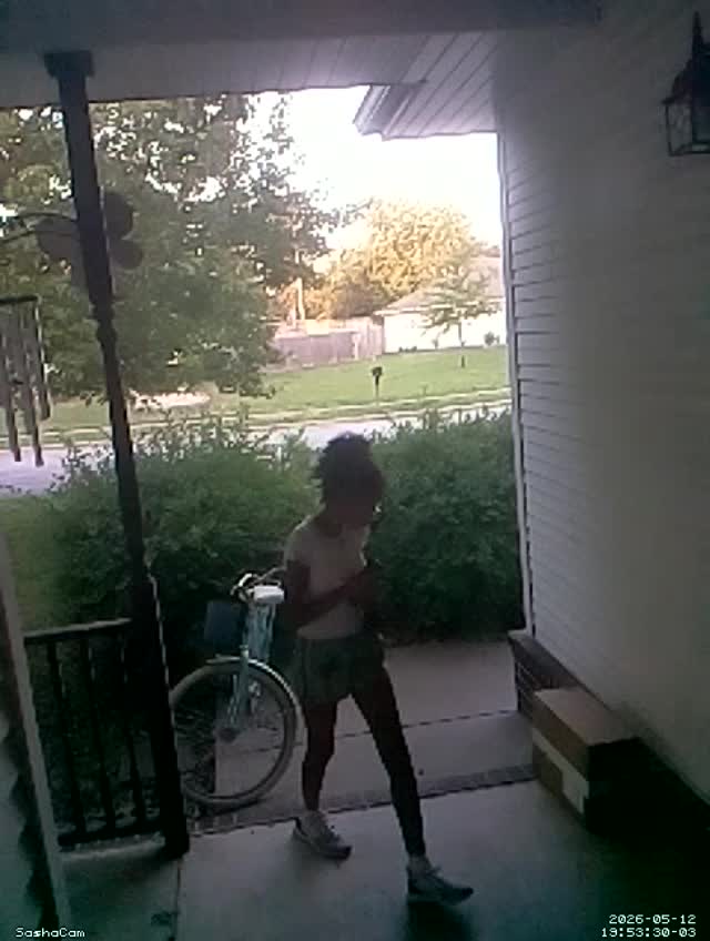 2026-05-12 19:53:29