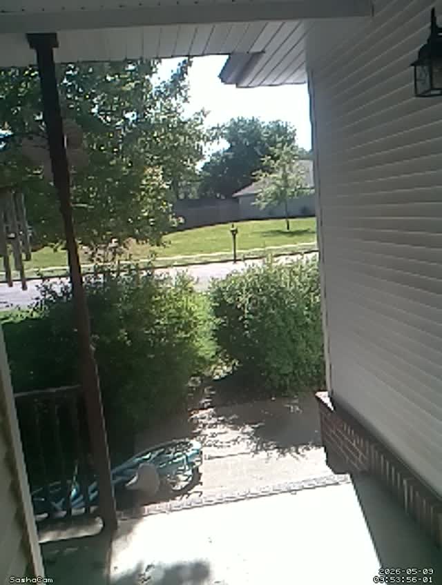 2026-05-09 09:53:55
