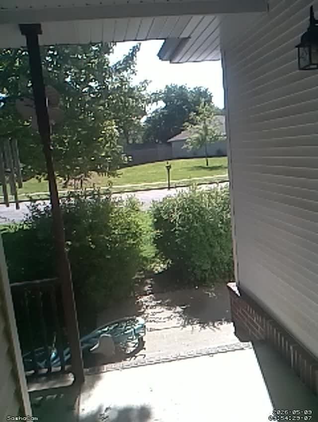 2026-05-09 09:54:28