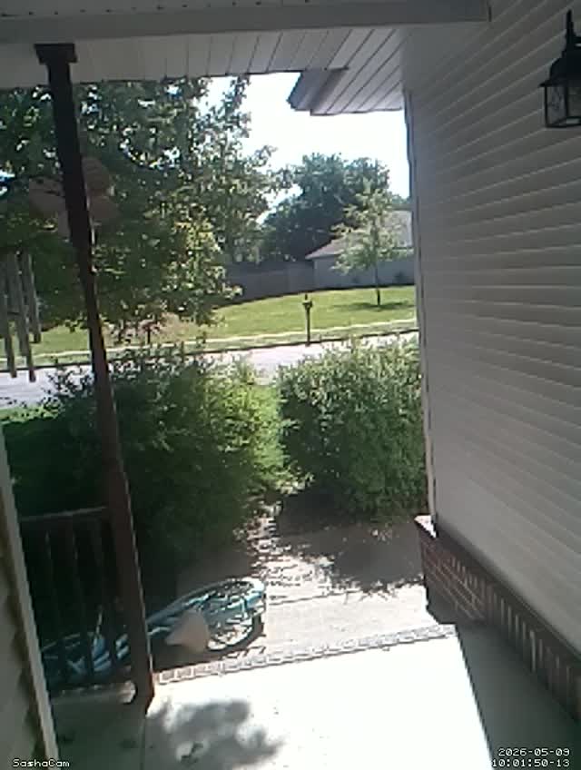 2026-05-09 10:01:49