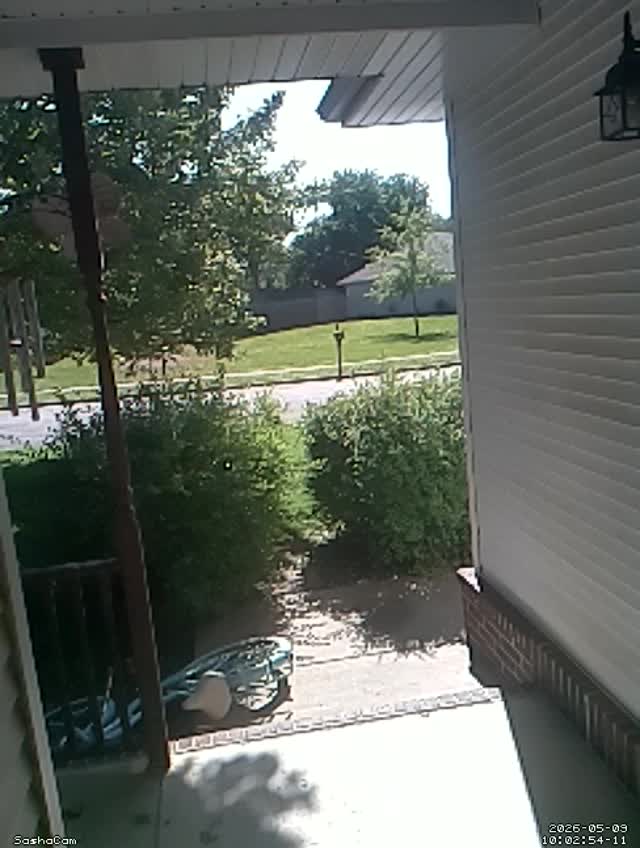 2026-05-09 10:02:53