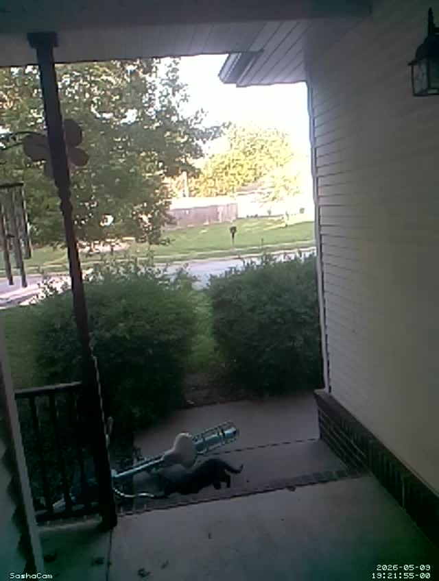 2026-05-09 19:21:54