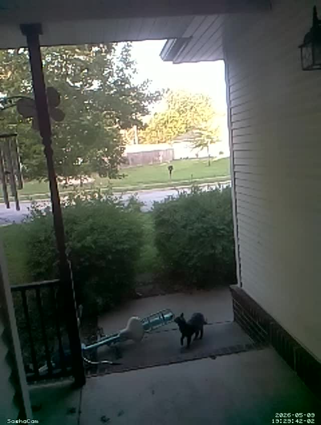 2026-05-09 19:29:41