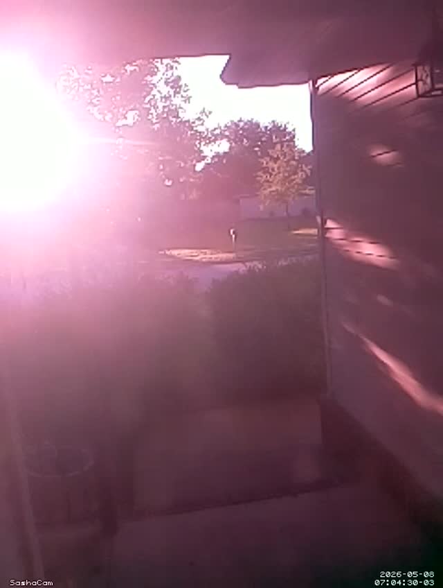 2026-05-08 07:04:29